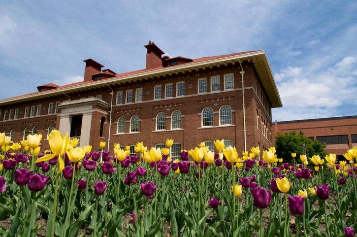 minnesota college