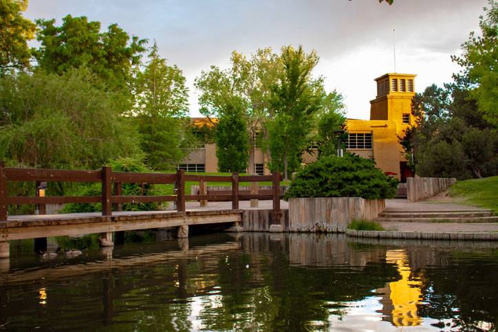 new mexico college