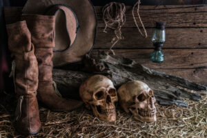 skulls in the barn