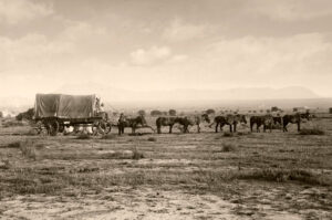 covered wagon on treck