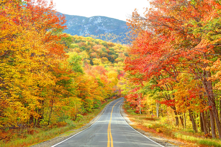 grafton notch state park maine