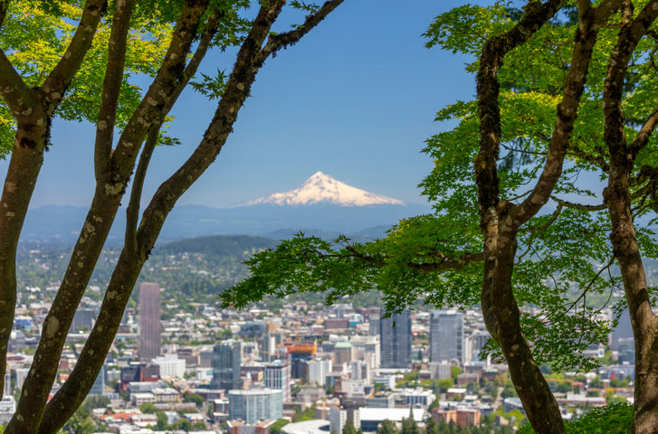 portland mt hood